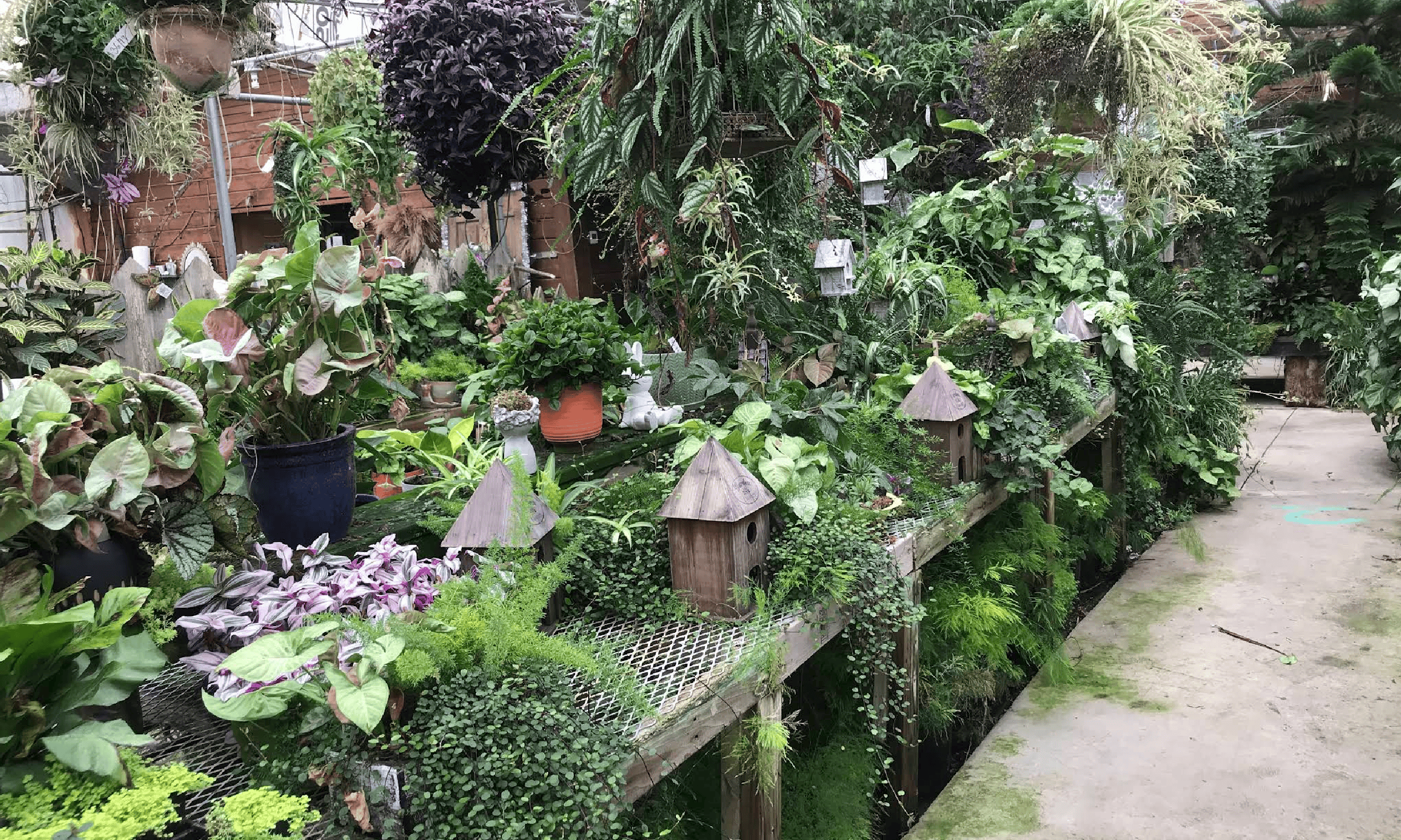 Piney creek greenhouse 2