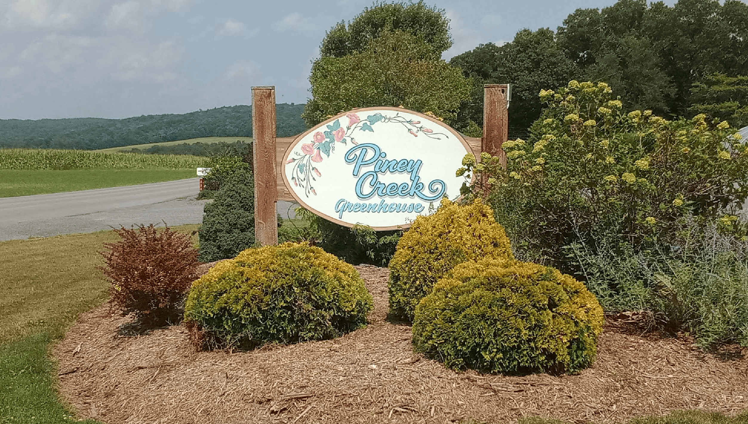 Piney creek greenhouse 4