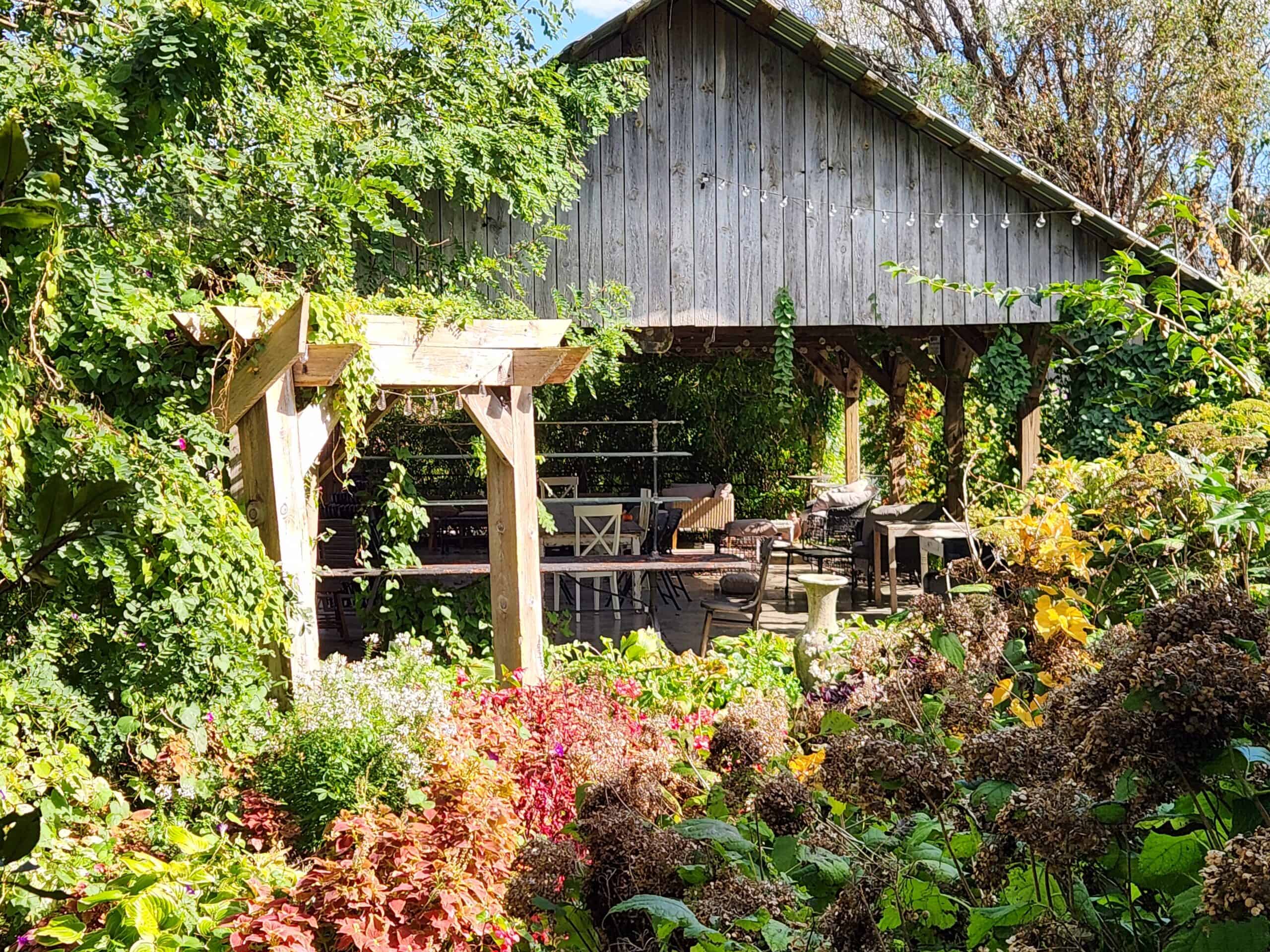 Piney creek greenhouse 6
