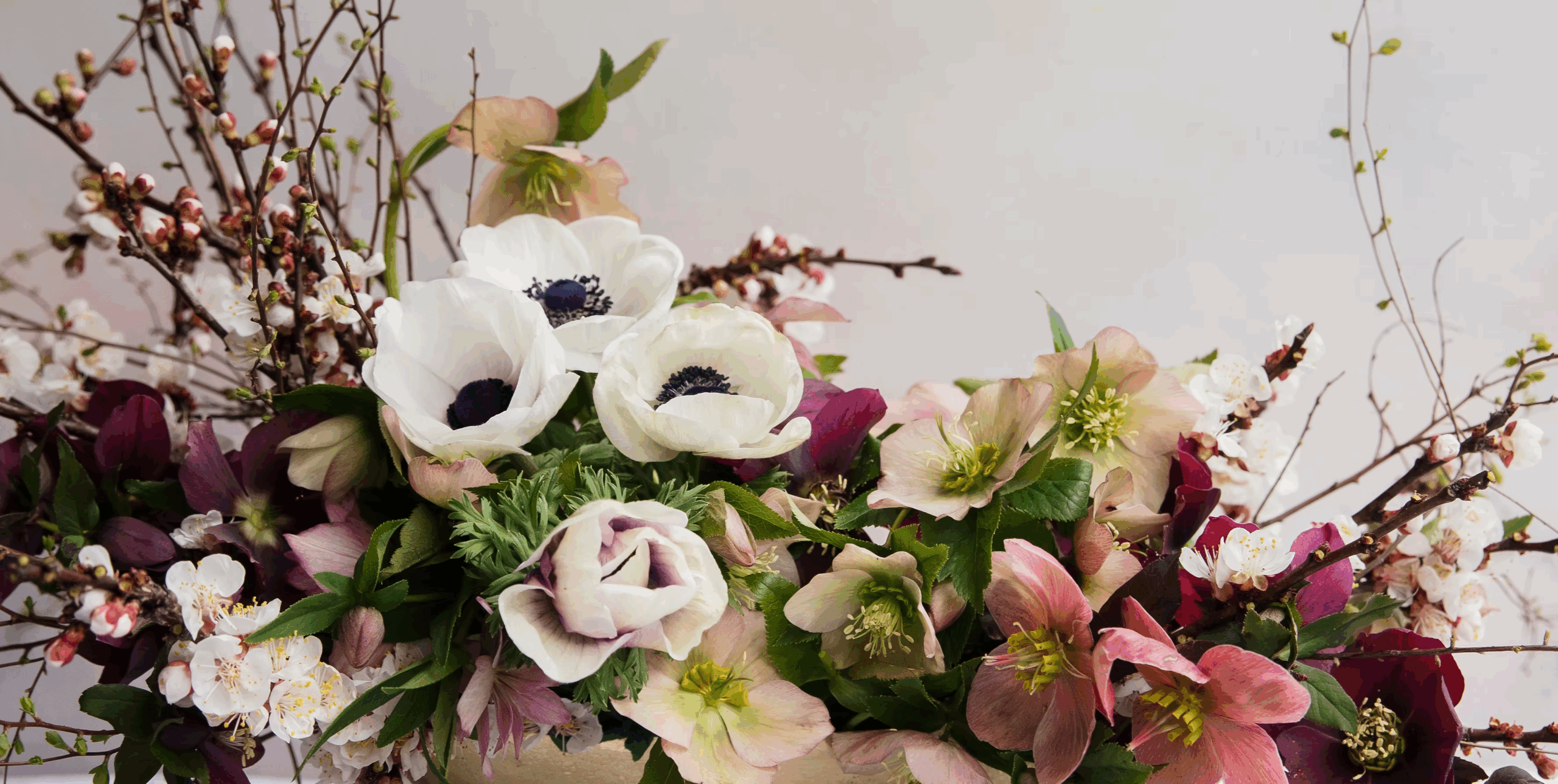 Piney creek greenhouse 7