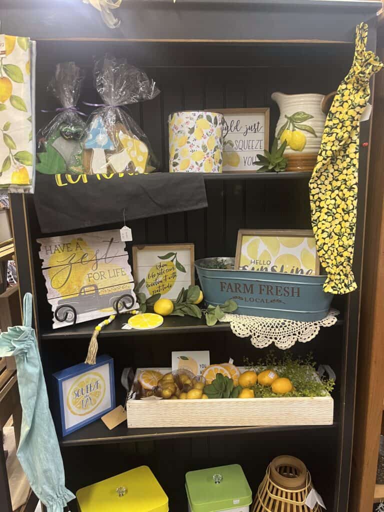 Cozy Home Primitives (1)