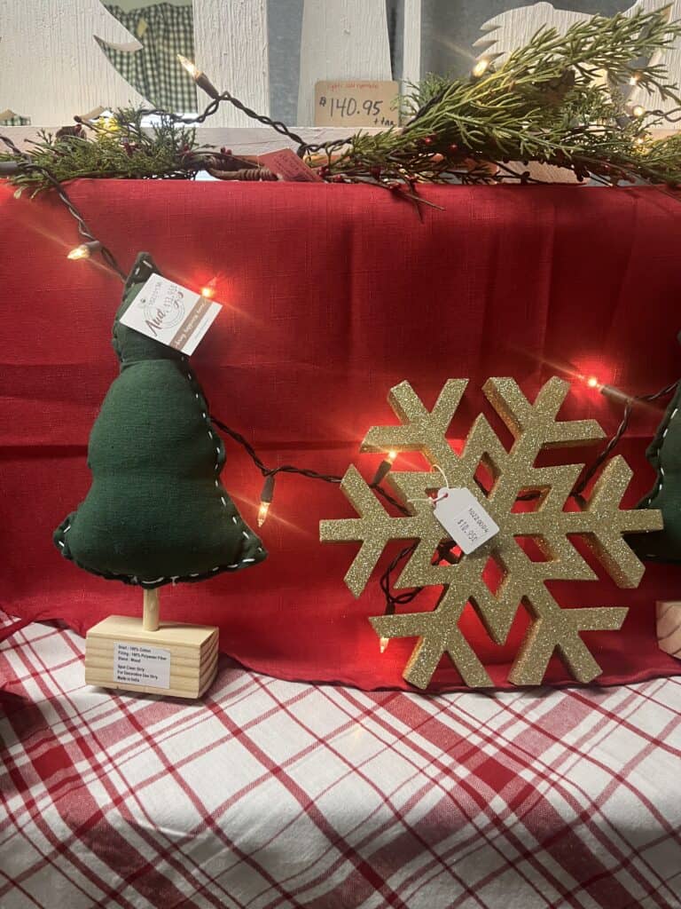 Cozy Home Primitives (109)