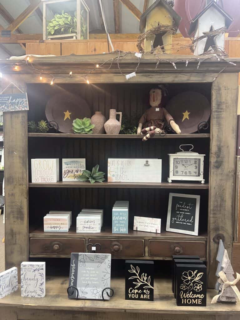 Cozy Home Primitives (111)