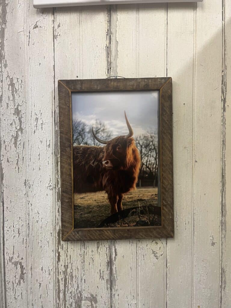 Cozy Home Primitives (113)