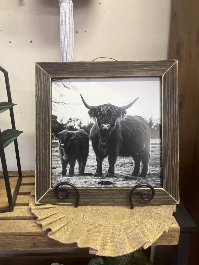 Cozy Home Primitives (15)