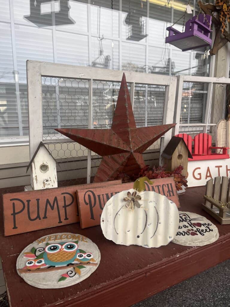 Cozy Home Primitives (34)