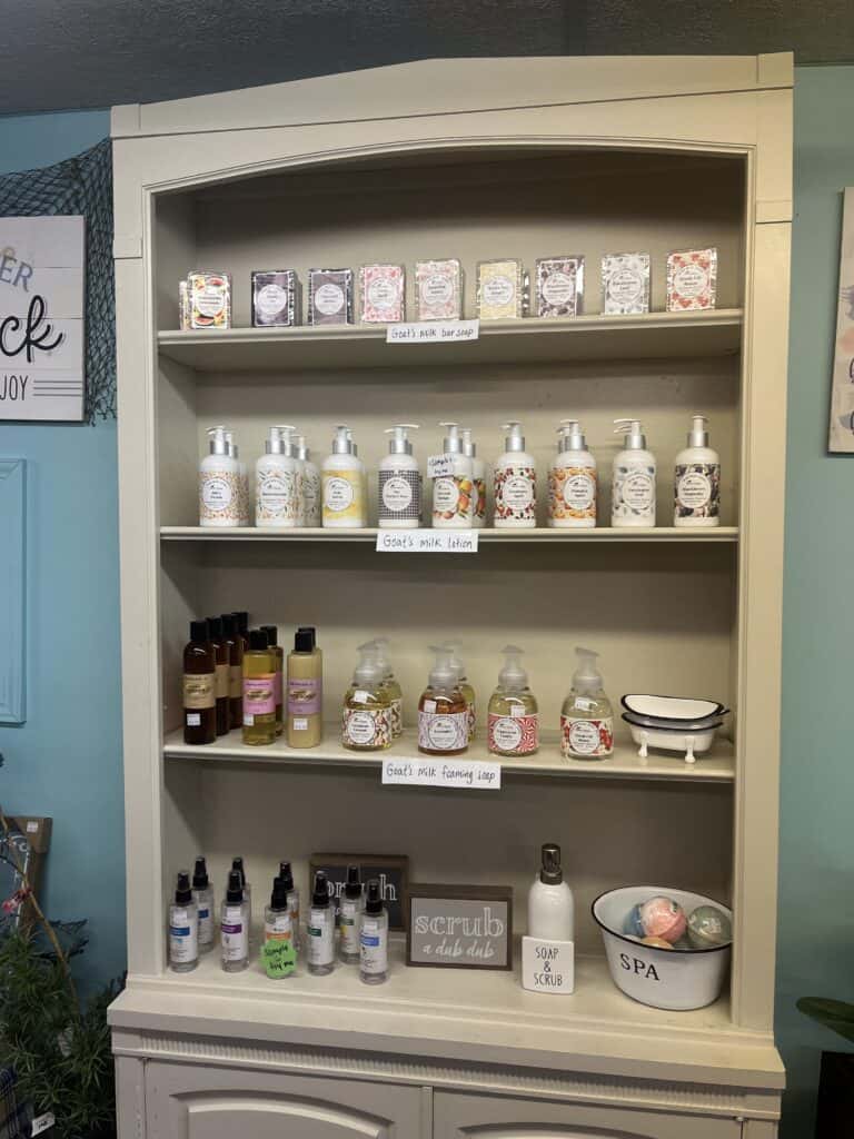 Cozy Home Primitives (81)