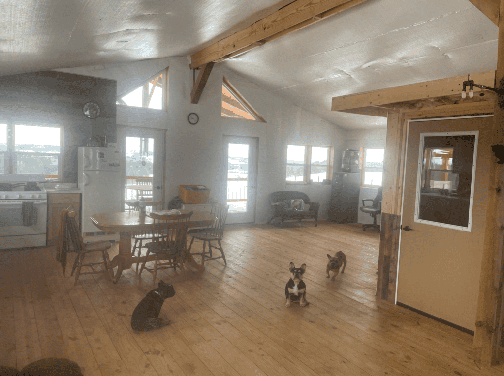 Zook's French Bulldogs