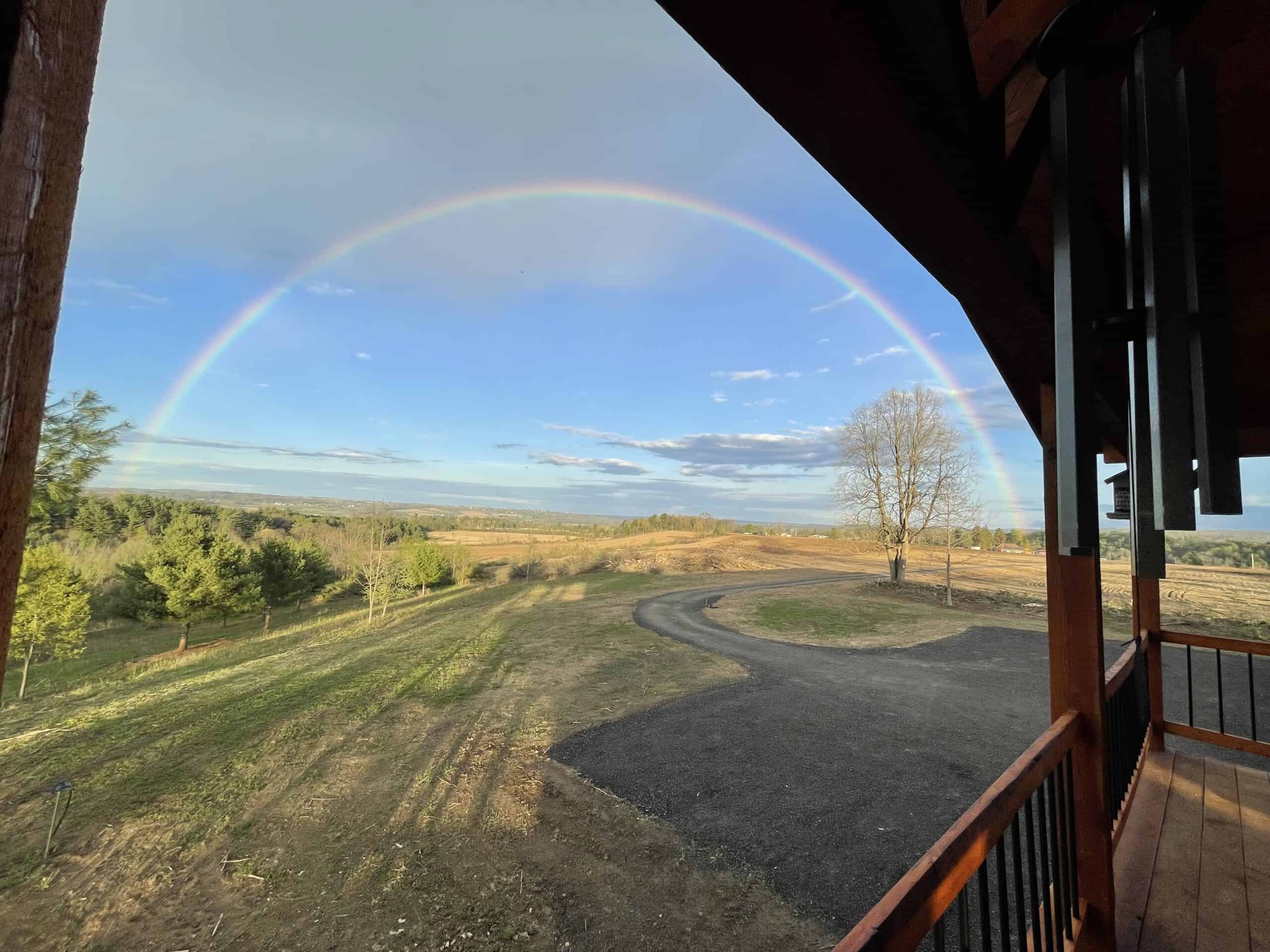 Zooks French Bulldogs