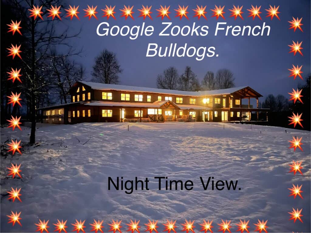 Zook's French Bulldogs