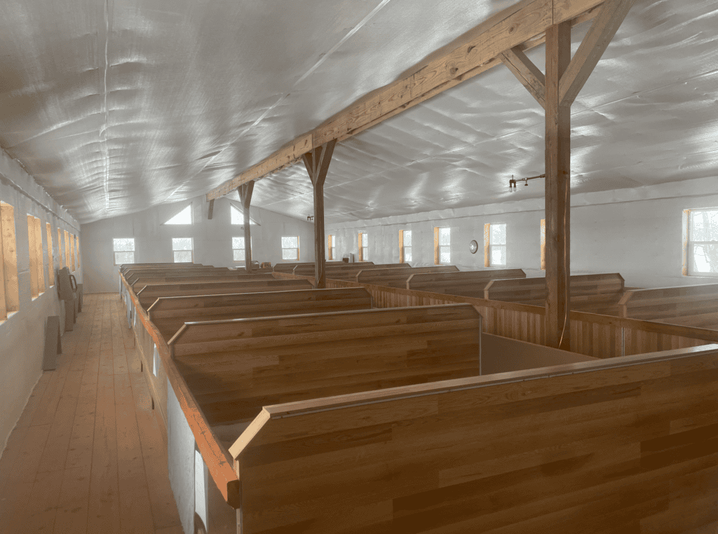 Zook's French Bulldogs