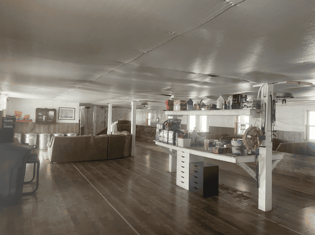 Zook's French Bulldogs