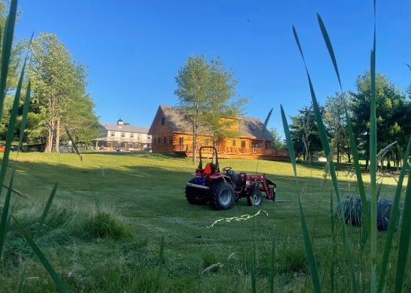 Zook's French Bulldogs