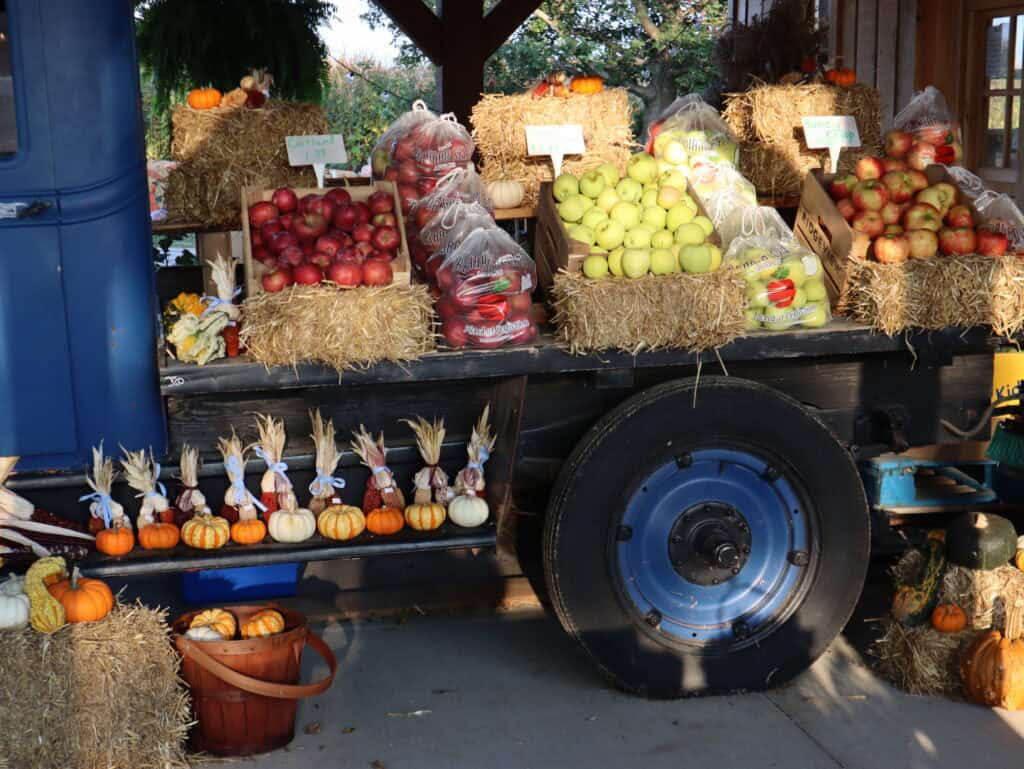 A Frame Family Greenhouse (1)