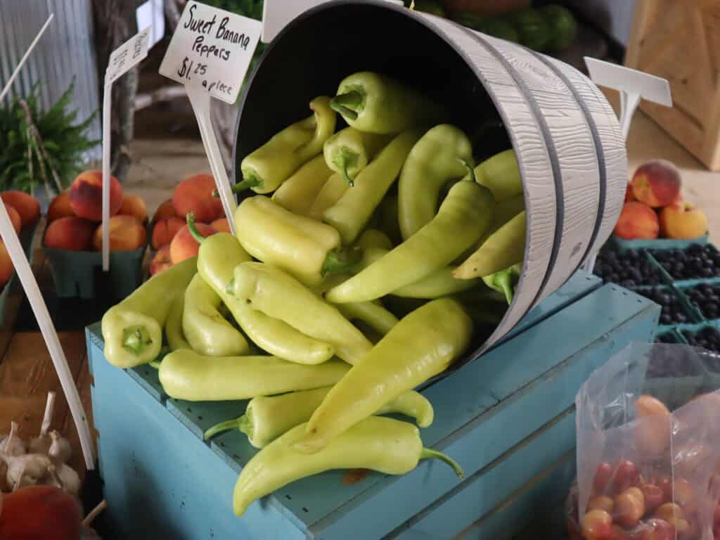 A Frame Family Greenhouse (10)