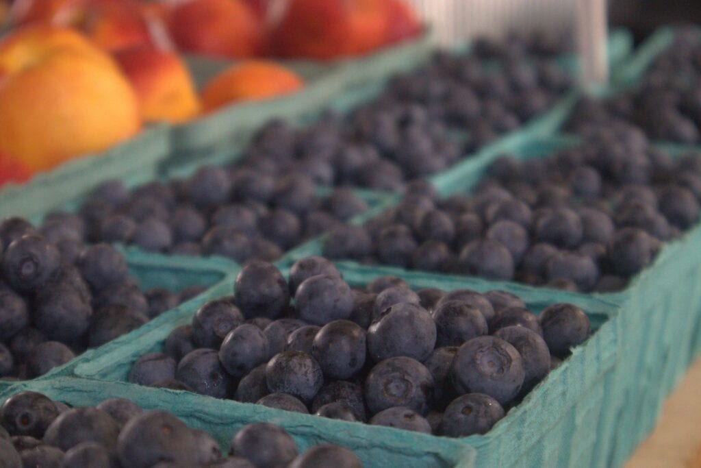 A Frame Family Greenhouse (11)