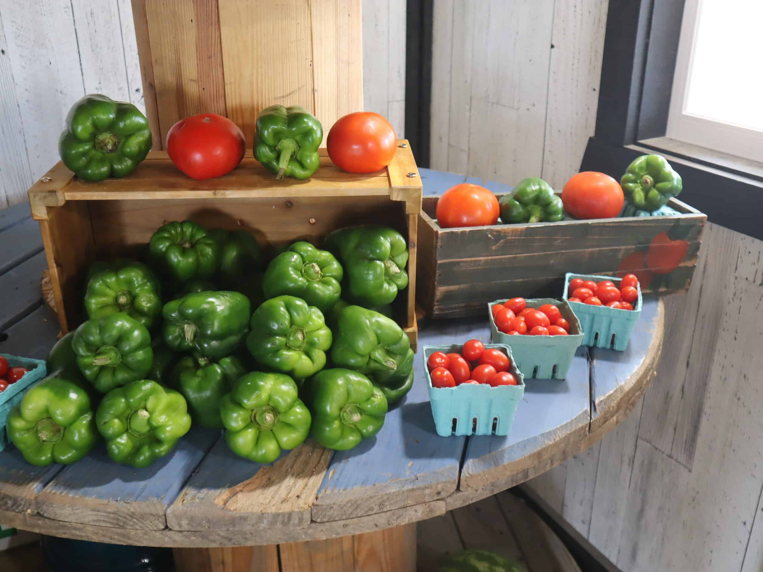 A Frame Family Greenhouse (13)