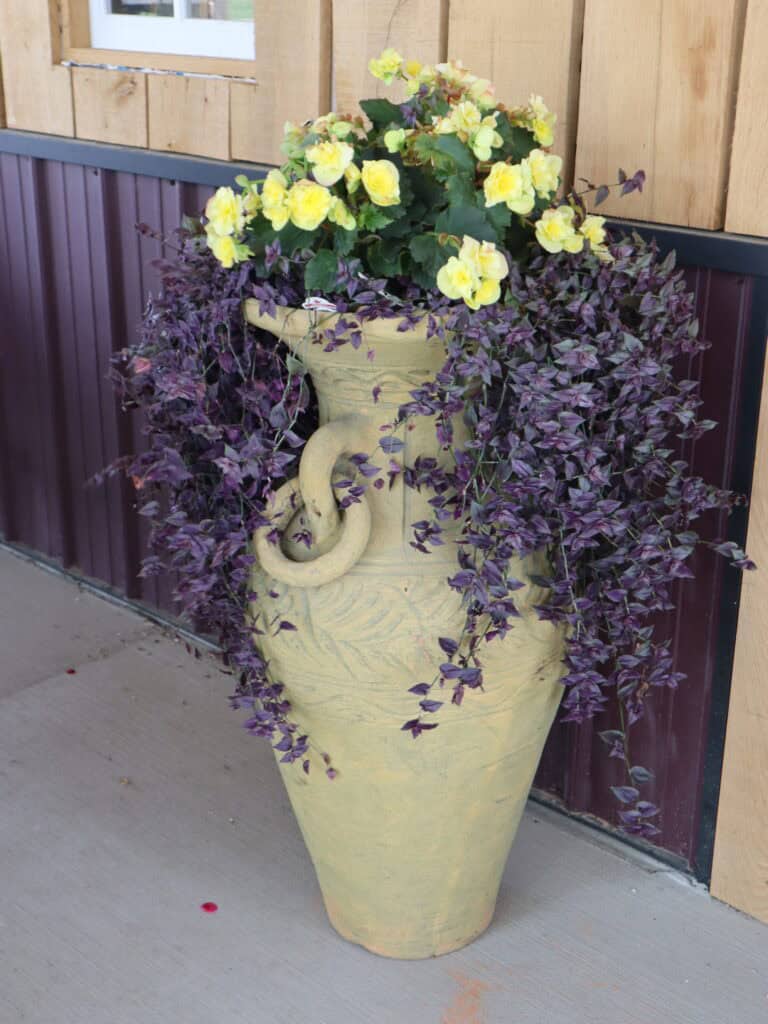 A Frame Family Greenhouse (16)