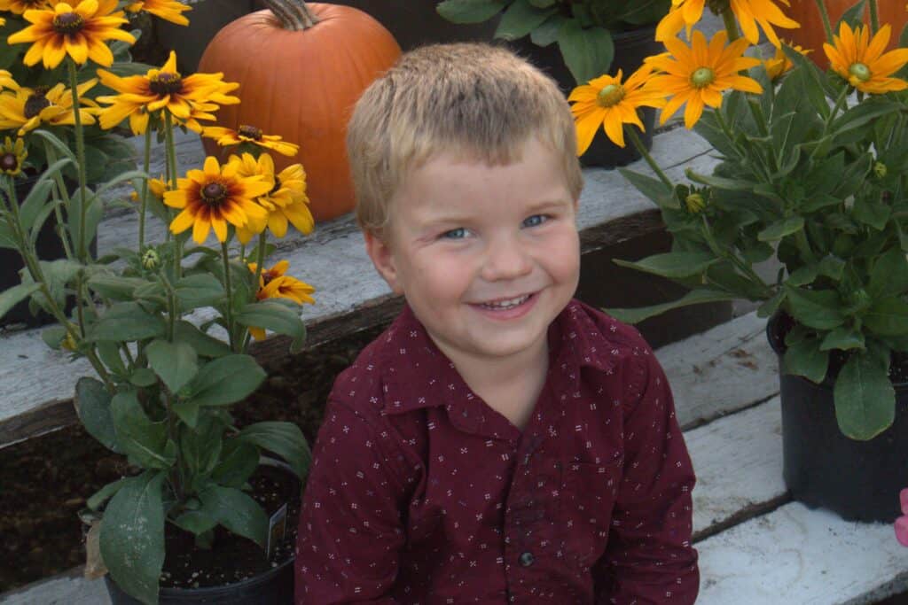 A Frame Family Greenhouse (2)