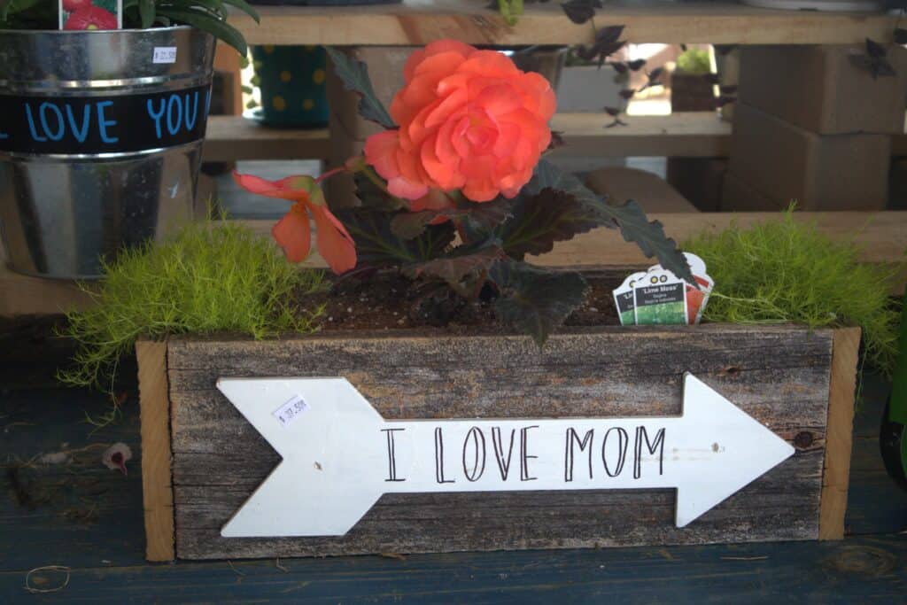 A Frame Family Greenhouse (21)