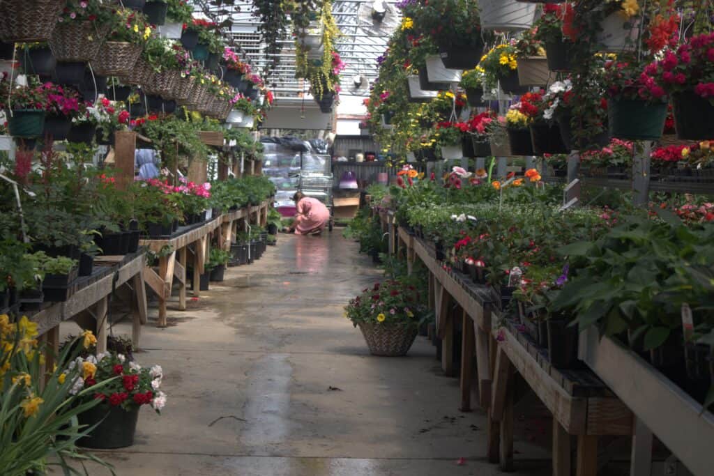 A Frame Family Greenhouse (22)