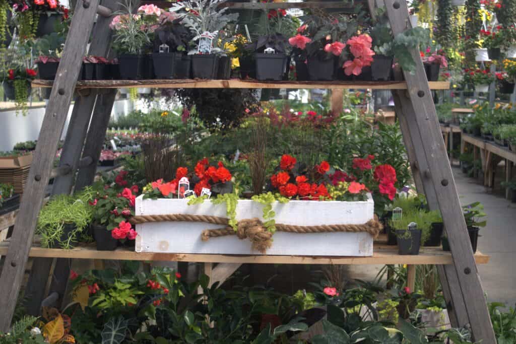 A Frame Family Greenhouse (23)