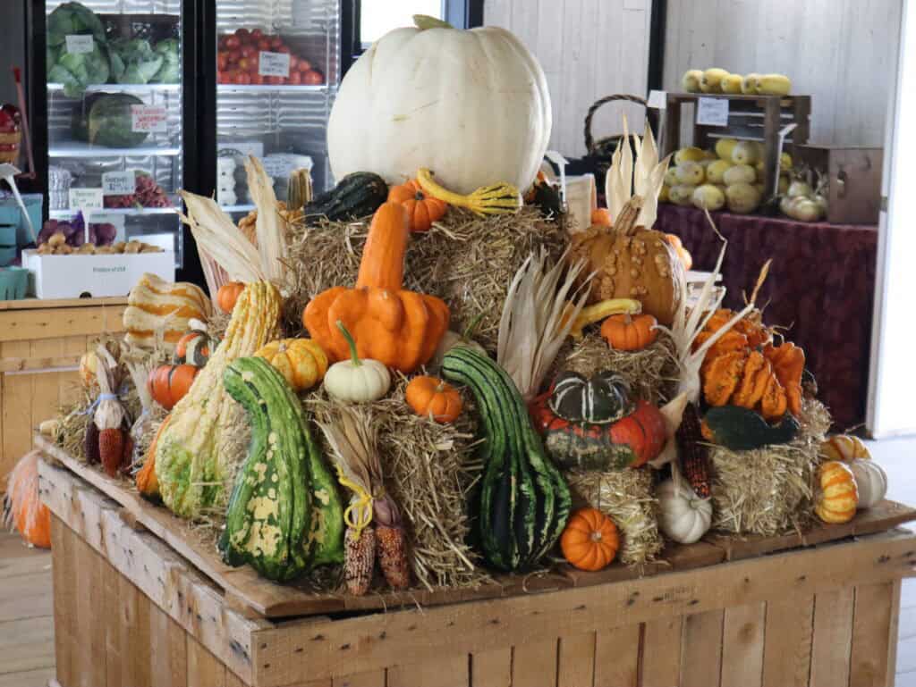 A Frame Family Greenhouse (3)