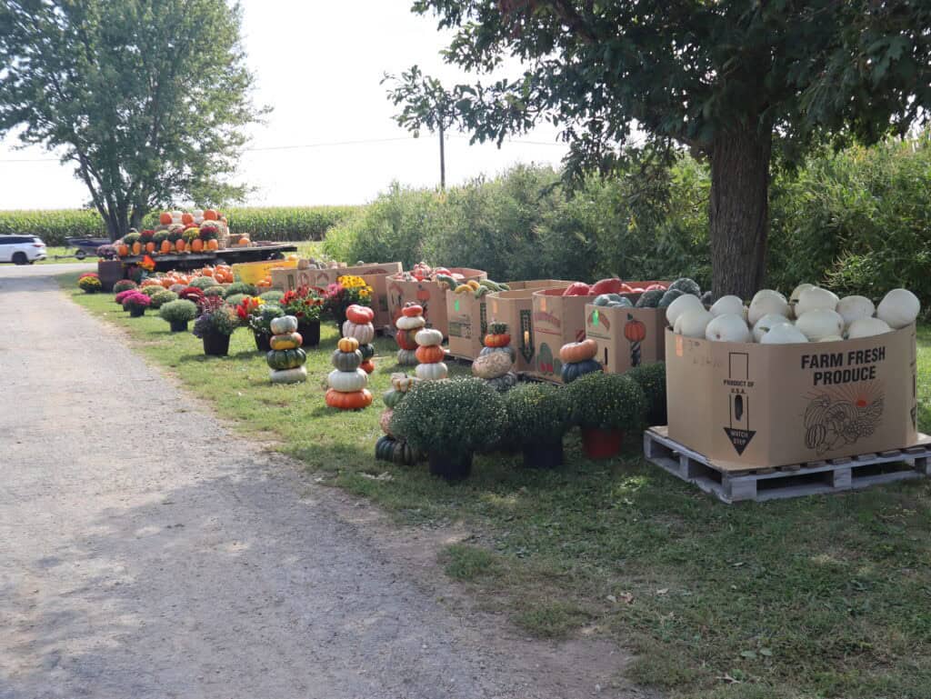 A Frame Family Greenhouse (4)