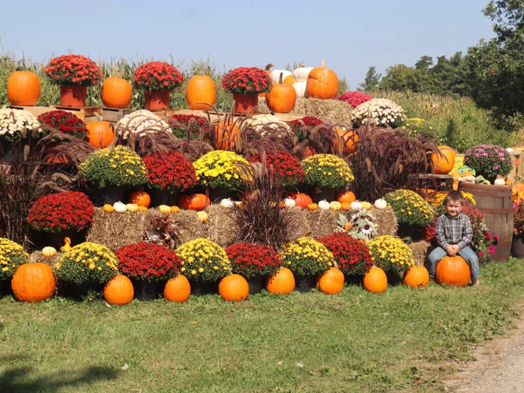 A Frame Family Greenhouse (5)