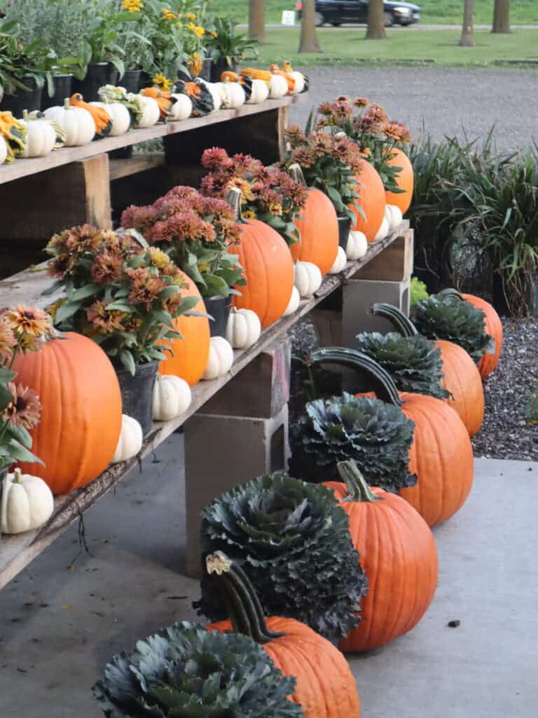 A Frame Family Greenhouse (9)