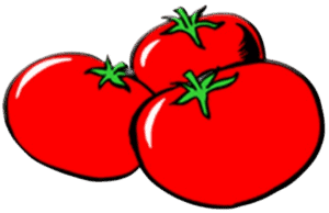 Rio Tomato Only Tomato No Background
