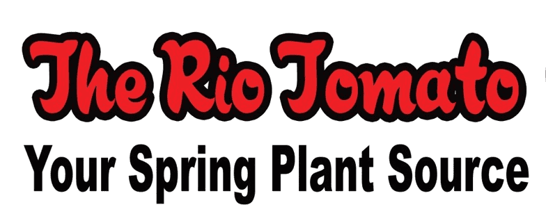 Rio Tomato Logo no background