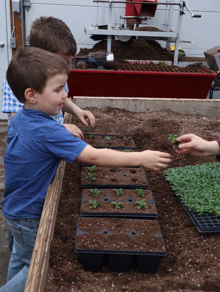 A Frame Family Greenhouse Spring 2026 (3)