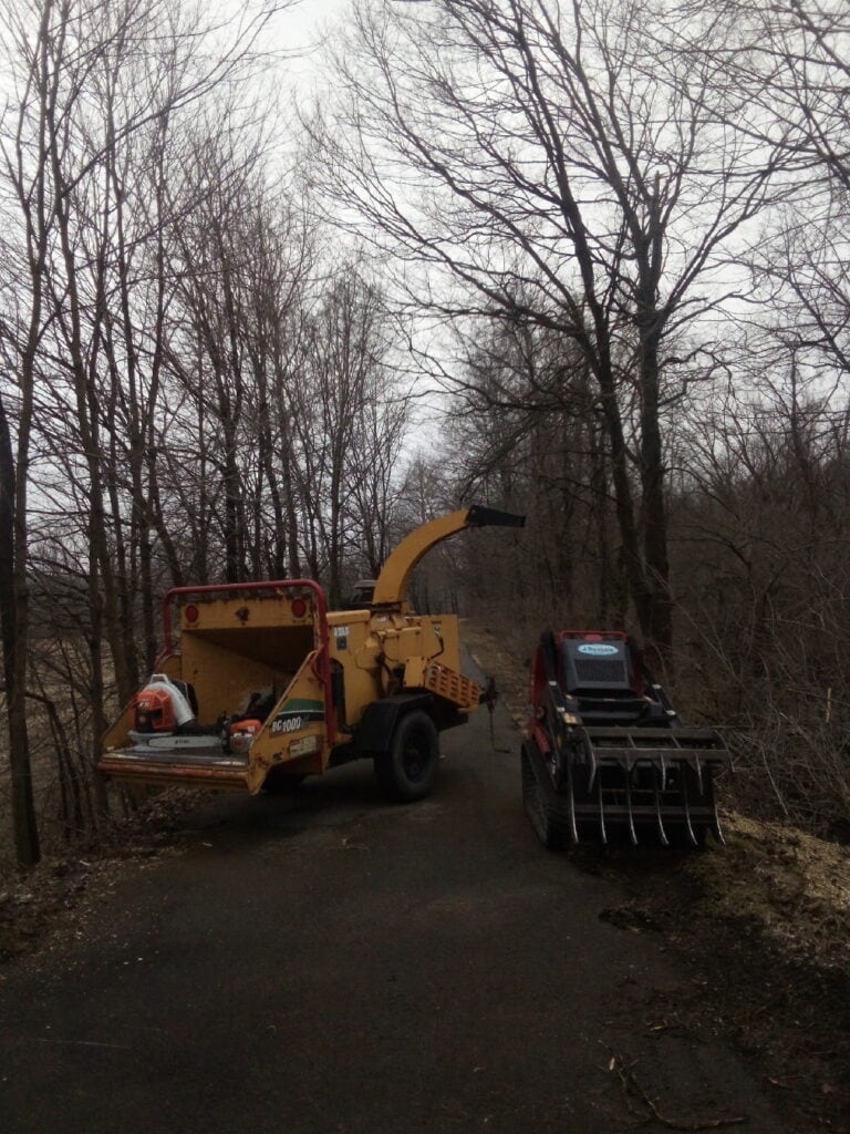 Precision Tree Care (2)