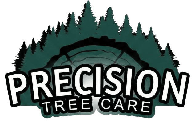 Preicision Tree Care Logo final
