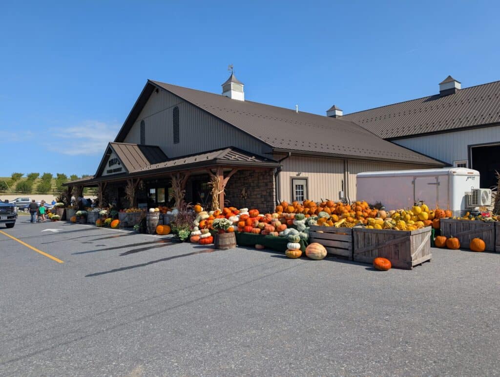 Reiff's Farm Market (14)