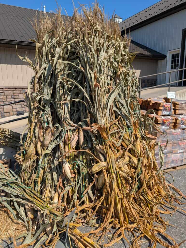 Reiff's Farm Market (15)