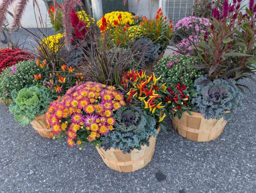 Reiff's Farm Market (16)