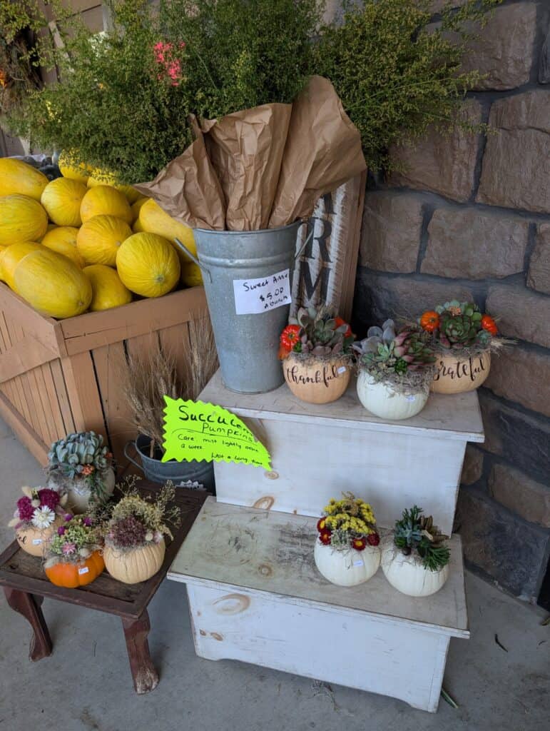 Reiff's Farm Market (18)