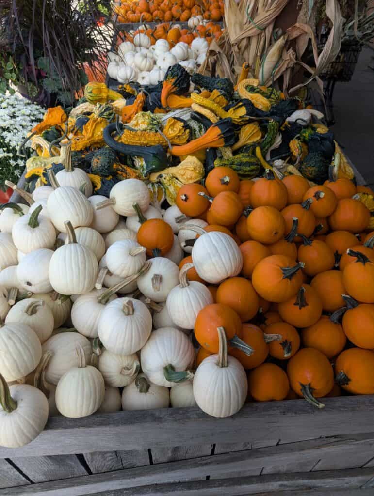 Reiff's Farm Market (20)