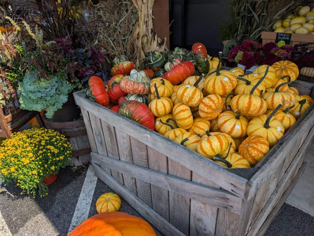 Reiff's Farm Market (21)