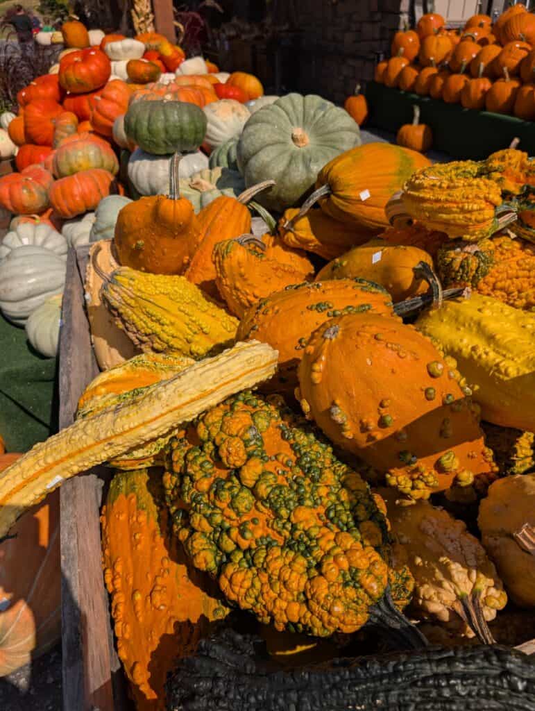 Reiff's Farm Market (22)