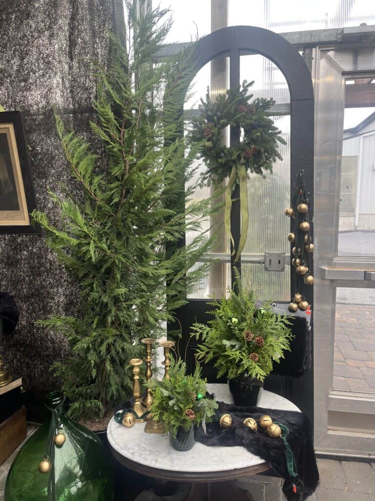 Reiff's Farm Market (28)