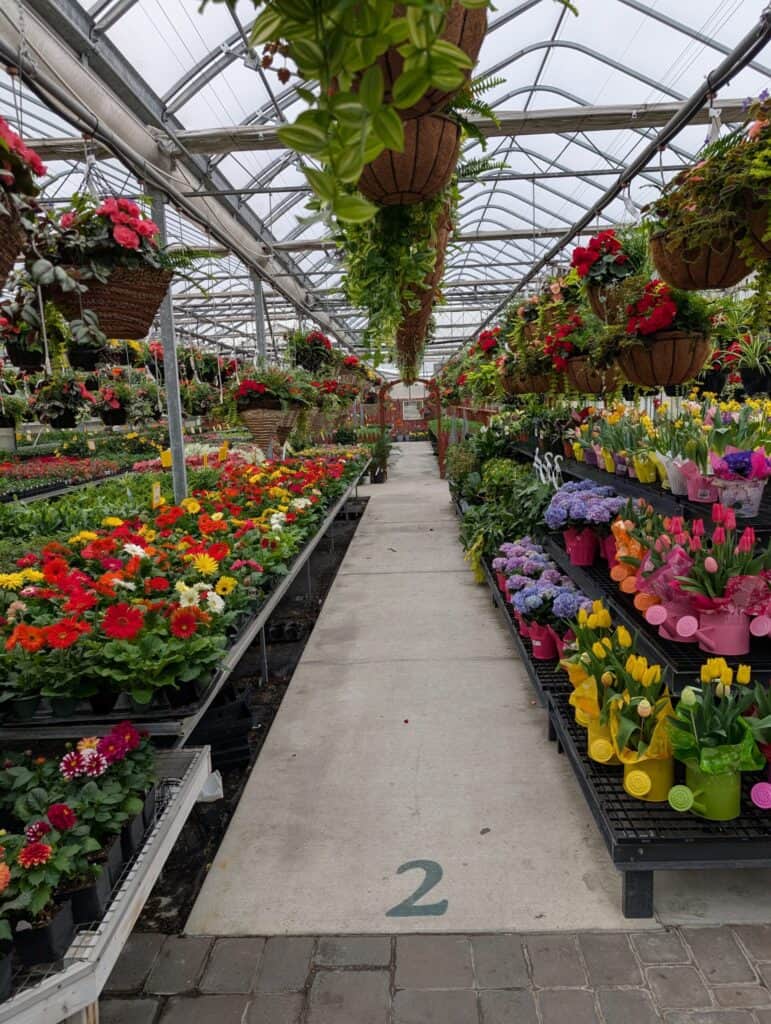 Reiff's Farm Market (38)