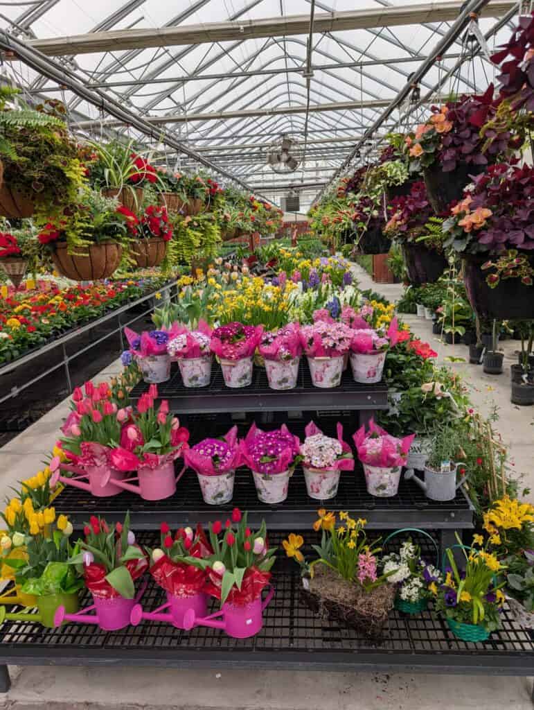 Reiff's Farm Market (39)