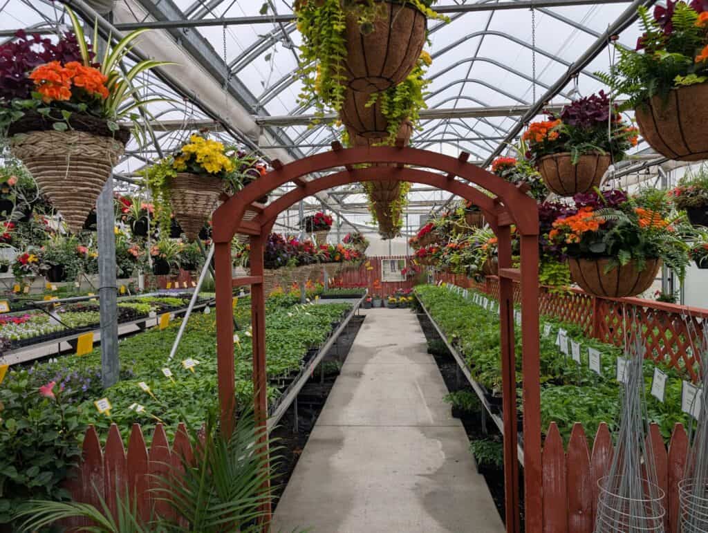 Reiff's Farm Market (40)