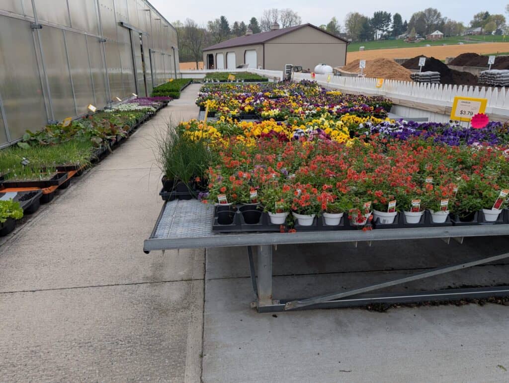 Reiff's Farm Market (43)