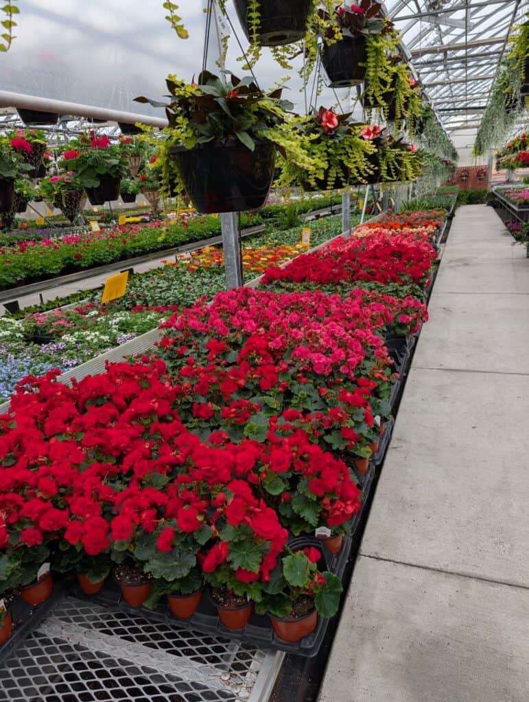 Reiff's Farm Market (46)