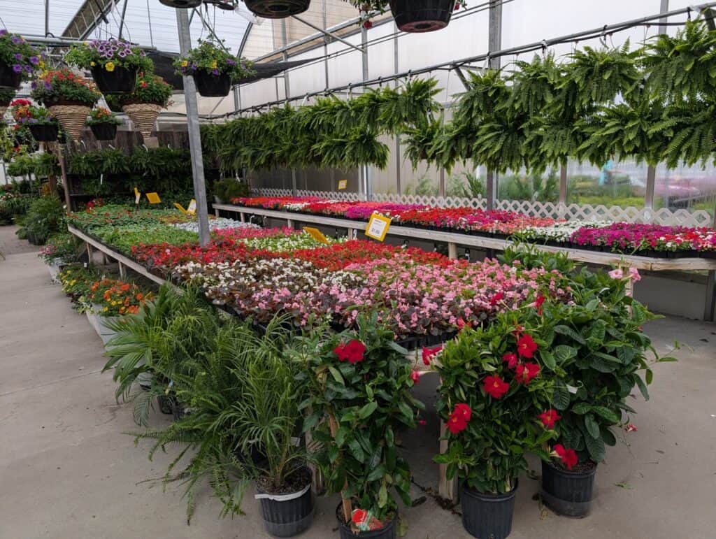 Reiff's Farm Market (47)