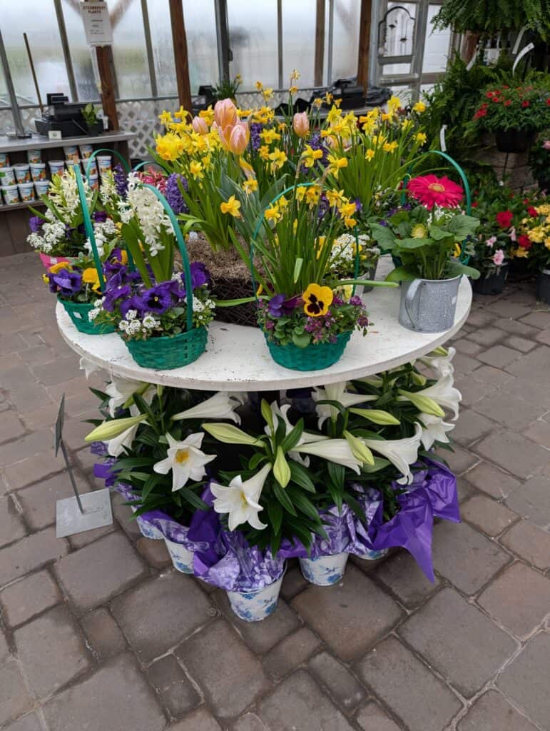 Reiff's Farm Market (51)